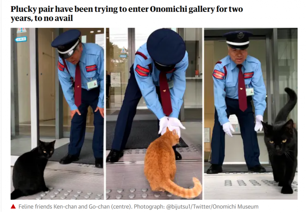 Free-rider cat gets escorted off train in China; reminds us of the two viral cats who tried to enter a Japanese museum - Alvinology