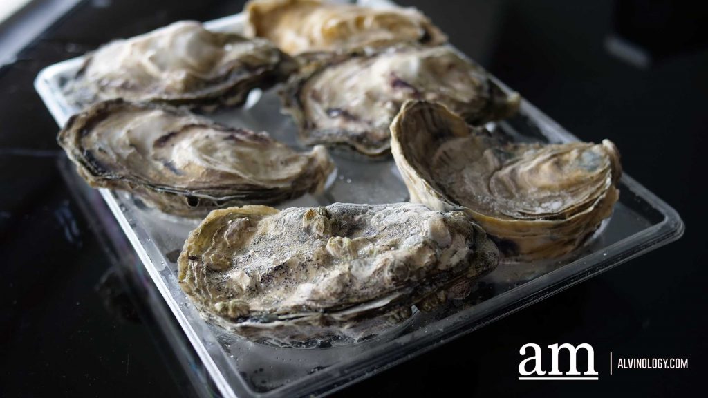 [REVIEW] Love Oysters? Oyster Co offers Fresh Canadian Oysters from just S$1.99 Each (Delivery Available) - Alvinology