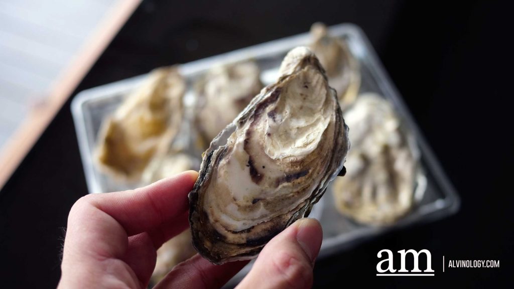 [REVIEW] Love Oysters? Oyster Co offers Fresh Canadian Oysters from just S$1.99 Each (Delivery Available) - Alvinology