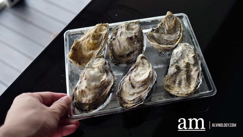 [REVIEW] Love Oysters? Oyster Co offers Fresh Canadian Oysters from just S$1.99 Each (Delivery Available) - Alvinology