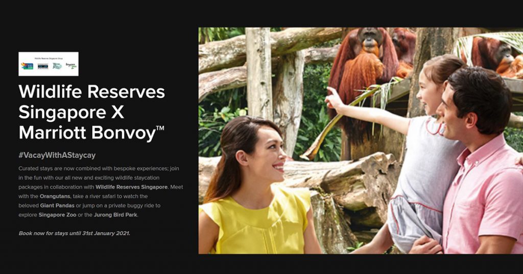 Wildlife Staycation Packages for the whole family await at Marriott International Hotel – offer runs till 31 January 2021 - Alvinology