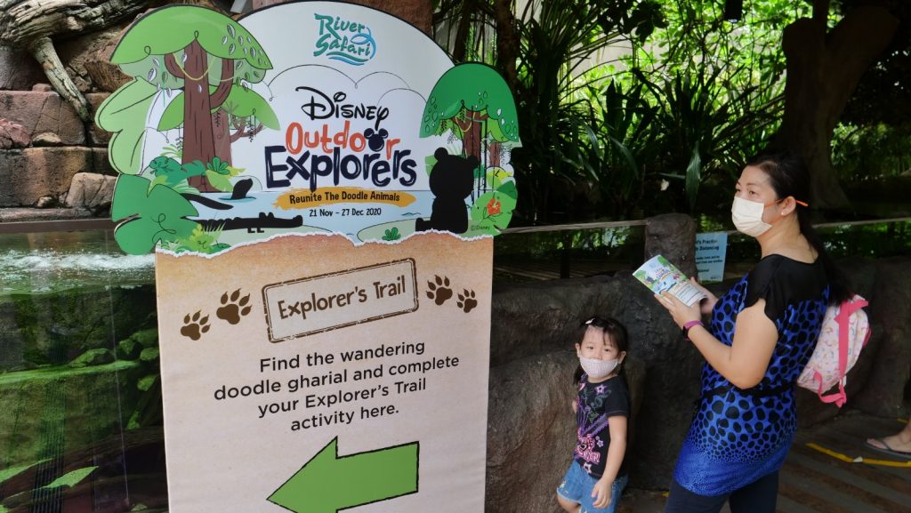 Join Disney's Mickey Mouse and Minnie Mouse at singapore Zoo and River Safari this year-end school holidays! - Alvinology