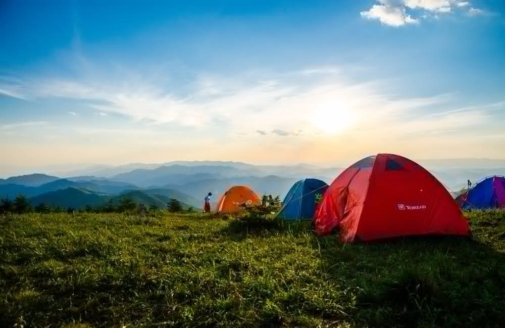 Planning a Camping Trip? Here's How to Prepare - Alvinology
