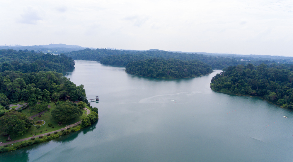Who Are Richard Goh and Soo Xiang Lin, the boys rescued from MacRitchie Reservoir? - Alvinology