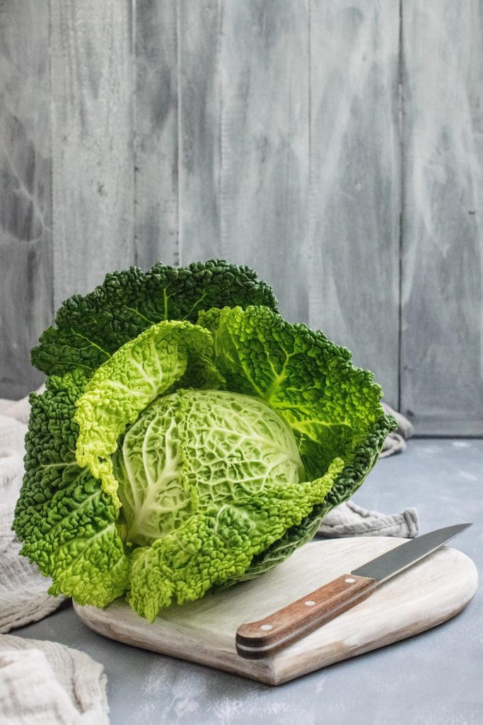 All you need to know about the best Substitute for Bean Sprouts - Alvinology