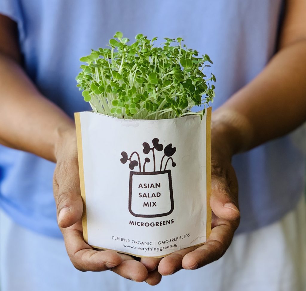 [Shop for a Cause] Be amazed and take home some of the artistic handiworks of persons with disabilities at SG Enable’s Virtual i’mable Gift Market - Alvinology