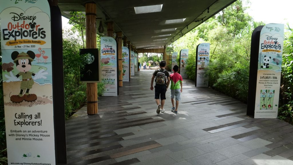 Join Disney's Mickey Mouse and Minnie Mouse at singapore Zoo and River Safari this year-end school holidays! - Alvinology
