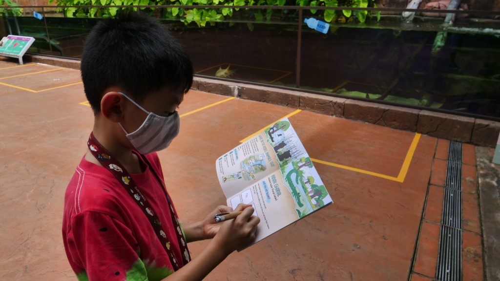 Join Disney's Mickey Mouse and Minnie Mouse at singapore Zoo and River Safari this year-end school holidays! - Alvinology