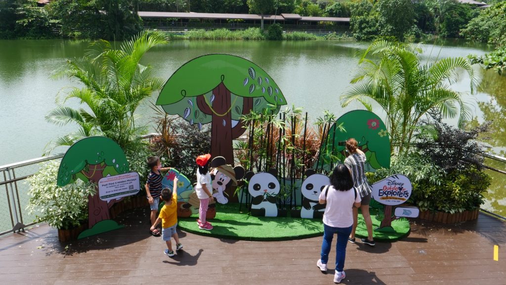 Join Disney's Mickey Mouse and Minnie Mouse at singapore Zoo and River Safari this year-end school holidays! - Alvinology