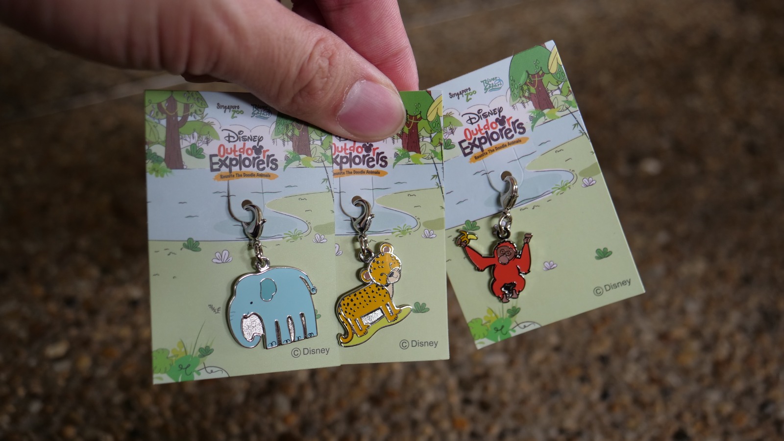 Join Disney's Mickey Mouse and Minnie Mouse at singapore Zoo and River Safari this year-end school holidays! - Alvinology