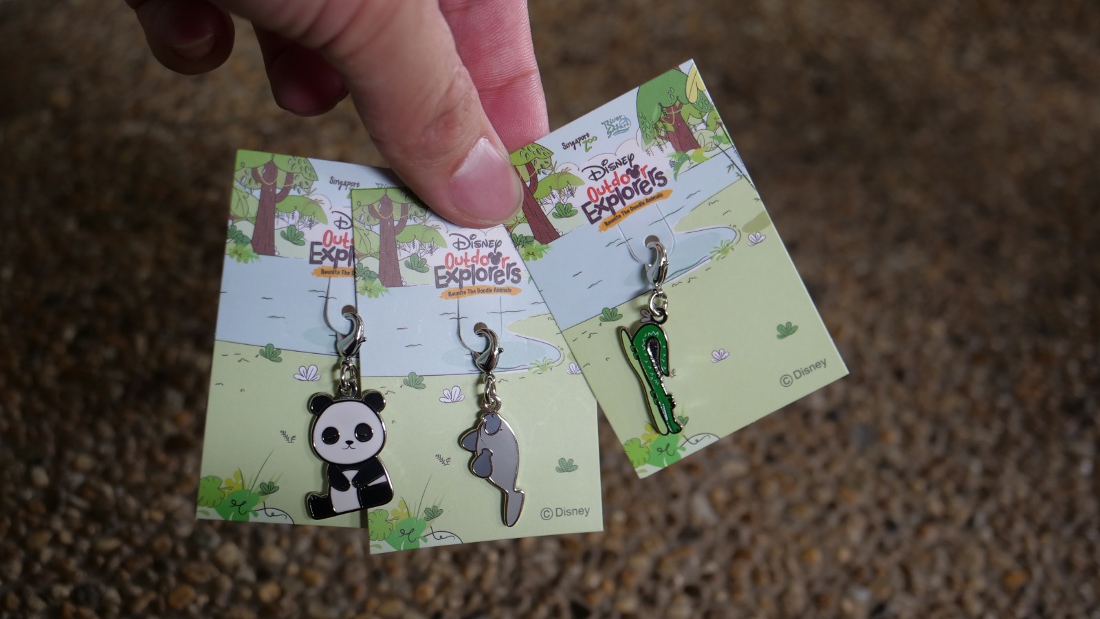 Join Disney's Mickey Mouse and Minnie Mouse at singapore Zoo and River Safari this year-end school holidays! - Alvinology