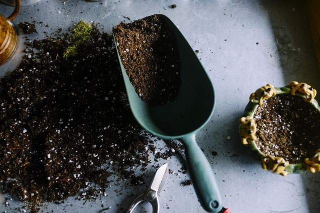 Quick And Easy Way To Start A Small Garden - Alvinology