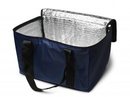 6 Benefits Of Using Thermally Insulated Cooler Bags for Food Storage - Alvinology