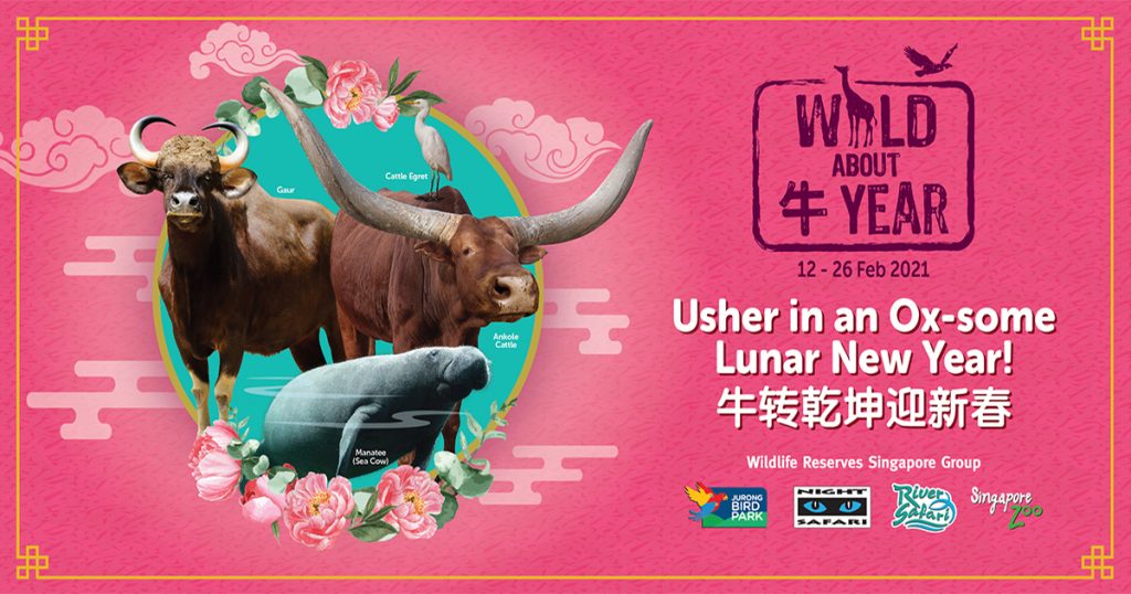 Bring the Whole Family and Welcome Year of the Ox with actual Oxen, Buffalos, and even Sea Cows at Wildlife Reserves Singapore! - Alvinology