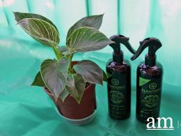 [#SupportLocal] Plantonic - Making horticulture and gardening safe and easy for everyone - Alvinology