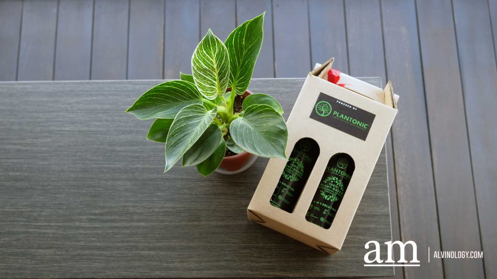 [#SupportLocal] Plantonic - Making horticulture and gardening safe and easy for everyone - Alvinology