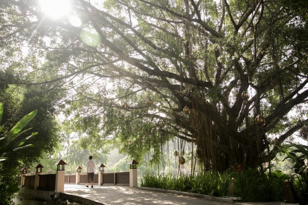 Banyan Tree is redefining the hospitality experience by launching Wellbeing Sanctuaries in 2021 - Alvinology