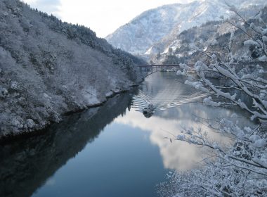 Boat Cruises, Dinosaurs and More: Enjoy Central Japan like a Local with the Takayama-Hokuriku Area Tourist Pass! [Part 2] - Alvinology