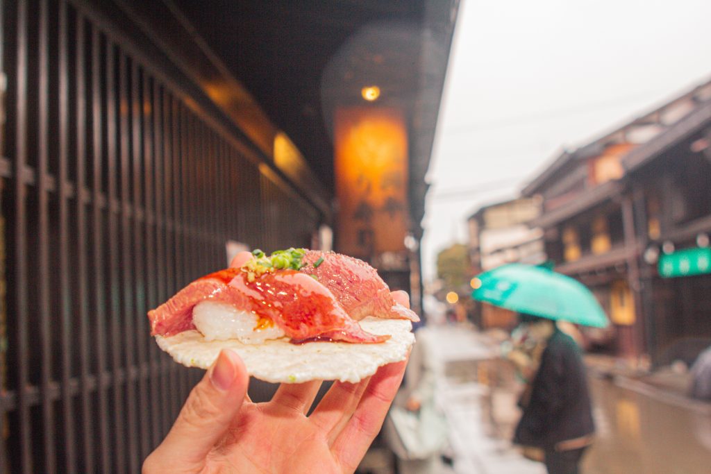 Delicious food, Beautiful Scenery: Explore Central Japan like a Local with the Takayama-Hokuriku Area Tourist Pass! [Part 1] - Alvinology