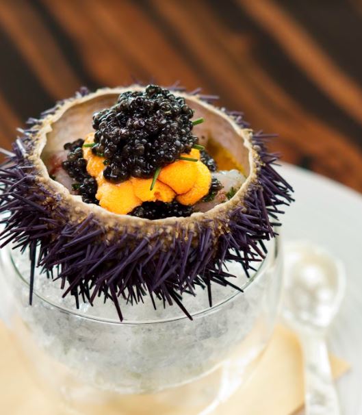 Waku Ghin reopens at Marina Bay Sands - taste the best of Japan across different prefectures and seasons - Alvinology