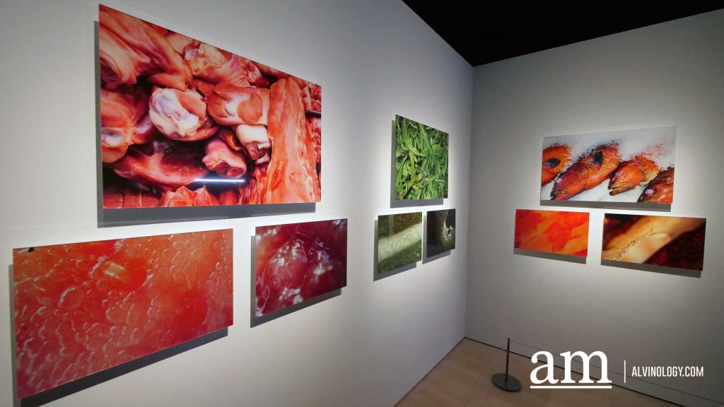 OPPO hosts free photography exhibition, ‘Painting With Light’ at ArtScience Museum - Alvinology