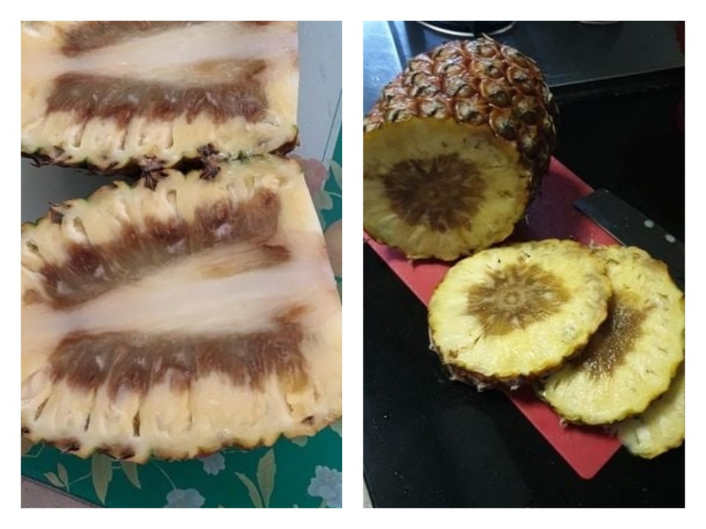NTUC FairPrice removes Taiwanese pineapples after customer complaints of rotten core - Alvinology