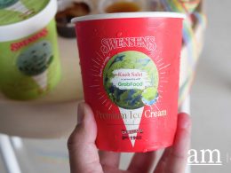 [Review] Limited Edition Kueh Salat Ice-cream from Swensen's Singapore, available exclusively on GrabFood - Alvinology