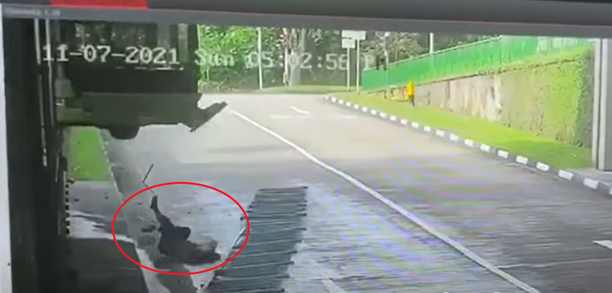 Bukit Batok bus accident video shows man falling out, almost crushed - Alvinology