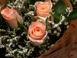 Anniversary Flowers: What Flowers to Give on Each Wedding Anniversary? - Alvinology
