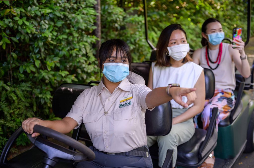 Singapore Wildlife Reserve is now under one brand - Mandai Wildlife Reserve, announces changes to visual identities - Alvinology