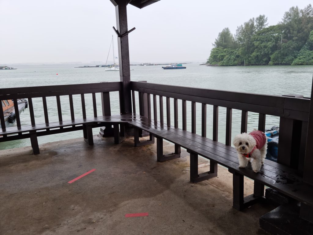 We brought our dog on a 2D1N Sailcation to Pulau Ubin! - Discover Sailing Asia - Alvinology