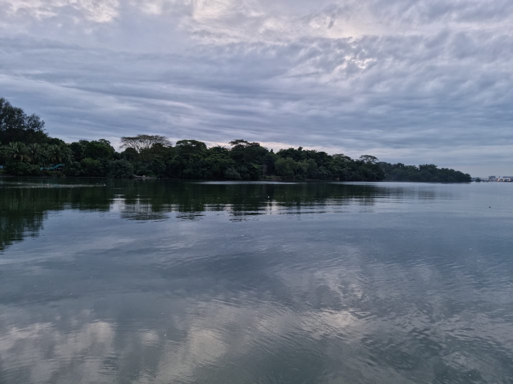 We brought our dog on a 2D1N Sailcation to Pulau Ubin! - Discover Sailing Asia - Alvinology