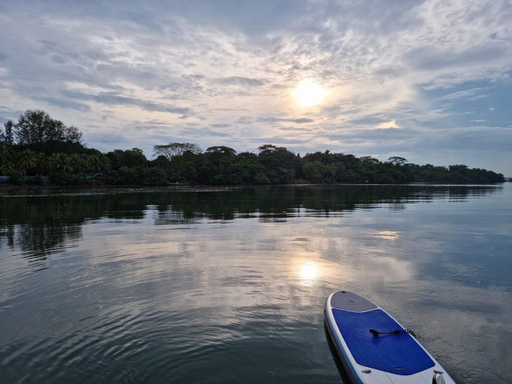 We brought our dog on a 2D1N Sailcation to Pulau Ubin! - Discover Sailing Asia - Alvinology