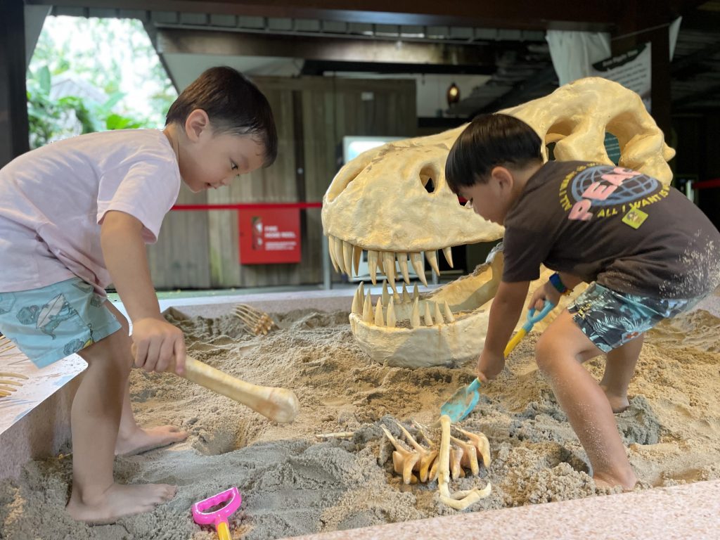 Witness 60 life-sized dinosaurs made with LEGO bricks at Asia’s first Brickosaurs World in Singapore Zoo and River Wonders! - Alvinology