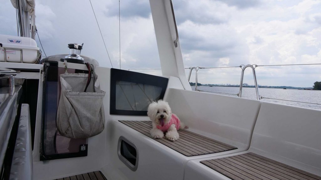 We brought our dog on a 2D1N Sailcation to Pulau Ubin! - Discover Sailing Asia - Alvinology