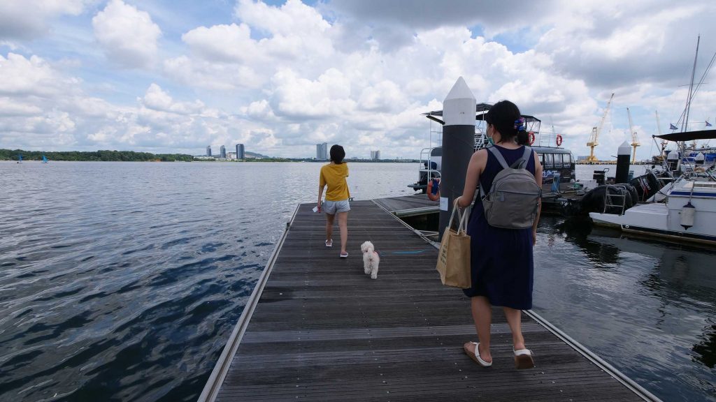 We brought our dog on a 2D1N Sailcation to Pulau Ubin! - Discover Sailing Asia - Alvinology