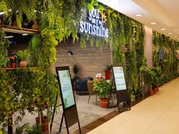 You Are My Sunshine Singapore Ngee Ann City is the new Beauty and Lifestyle Destination in Town! Enjoy 30% OFF on all hair services - Alvinology