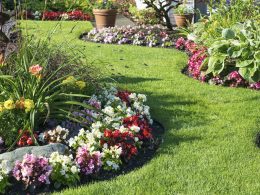 6 Considerations When Choosing Which Plants To Grow On Your Garden - Alvinology