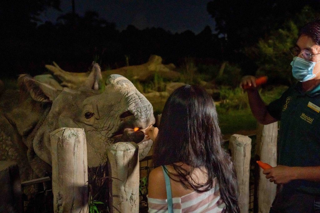 Night Safari offers new Feeding Sessions with Indian Rhinoceros; proceeds from the feedings Help fund conservation efforts - Alvinology