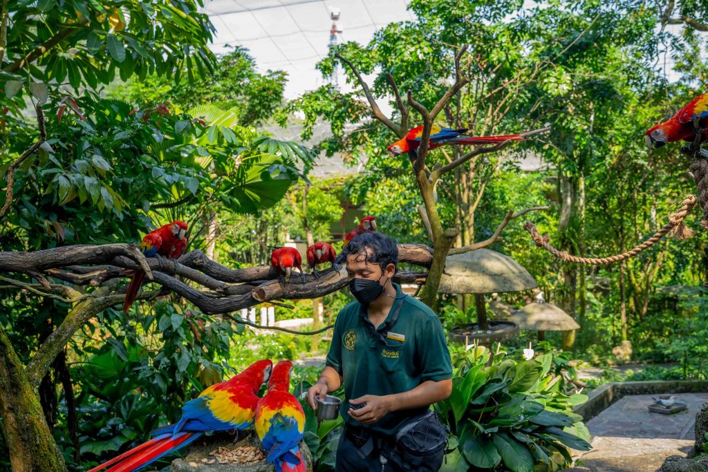 Have a Family Fun Easter at Jurong Bird Park as it transforms into an Egg-chanted Forest for an Instagram-worthy Egg hunt - Alvinology