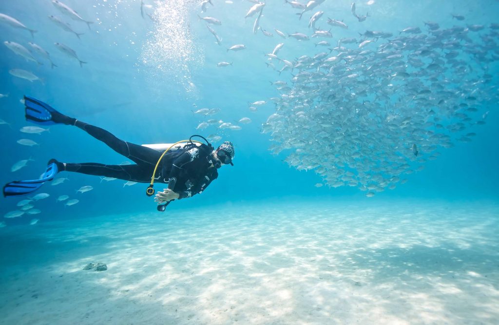 Tropical beaches are calling! You can now fly from Singapore to Manila for as low as S$110 via Cebu Pacific Tropical beaches are calling! You can now fly from Singapore to Manila for as low as S$110 via Cebu Pacific - Alvinology