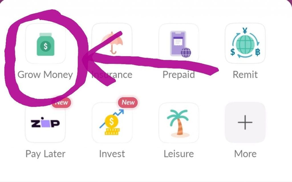 Students and first jobbers: Grow your money faster (up to 1.5%*^ p.a.) and get insured effortlessly with Dash PET - Alvinology