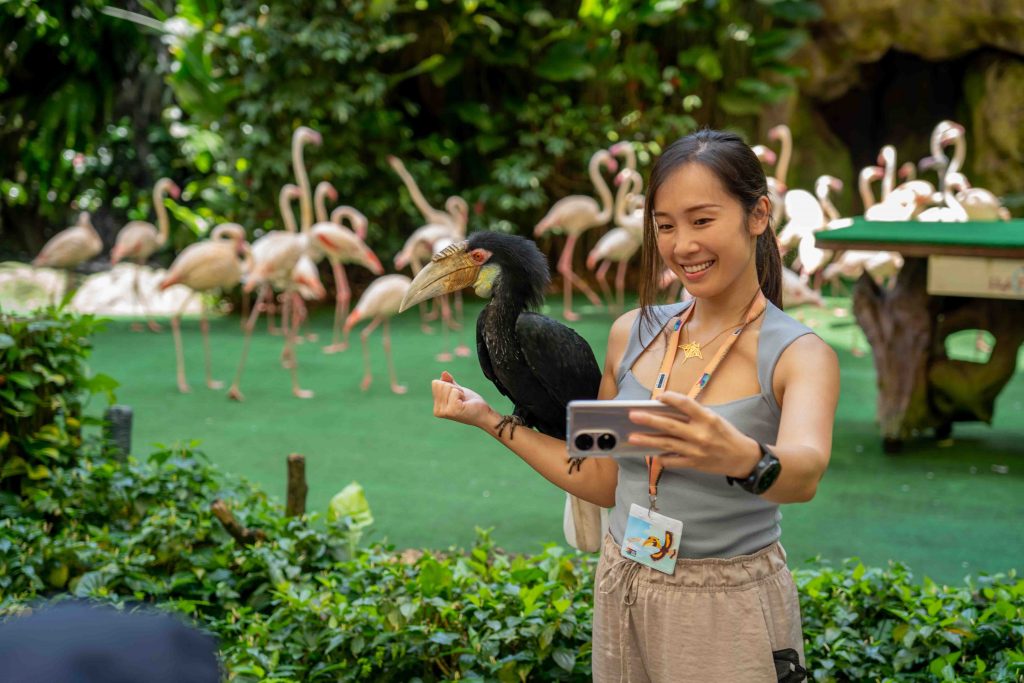 Spend a wild overnight Staycation with flamingos and manatees with Mandai Wildlife Group’s 2022 Staycation Packages - Alvinology