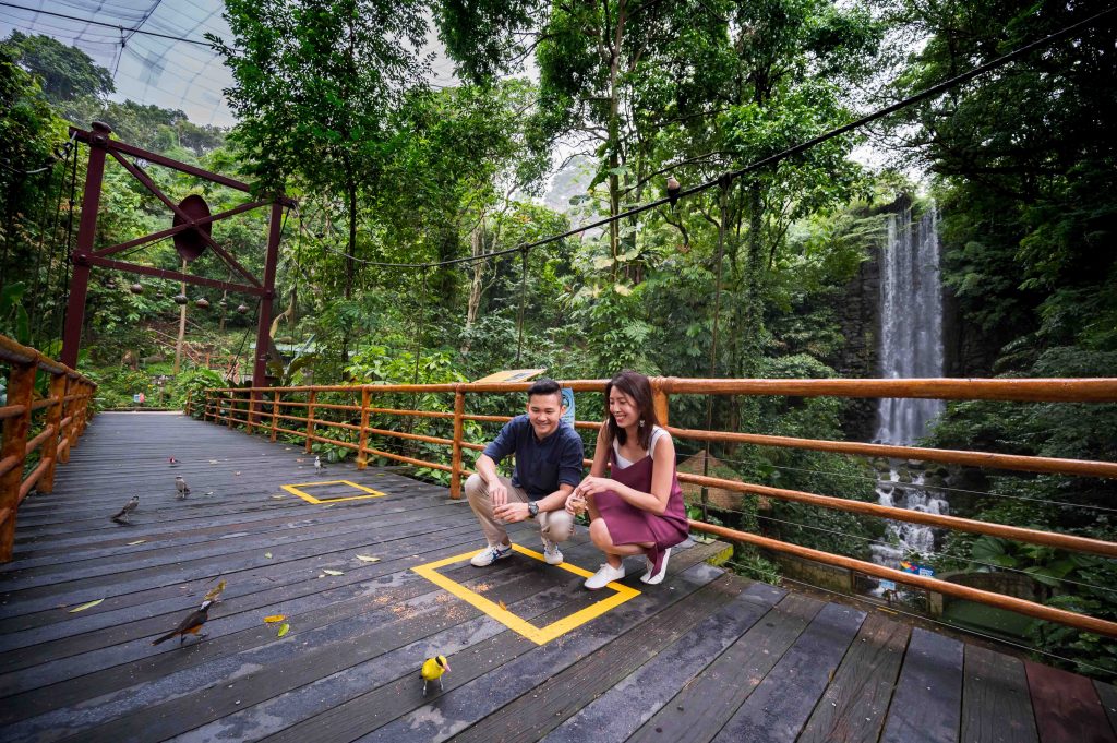 Spend a wild overnight Staycation with flamingos and manatees with Mandai Wildlife Group’s 2022 Staycation Packages - Alvinology