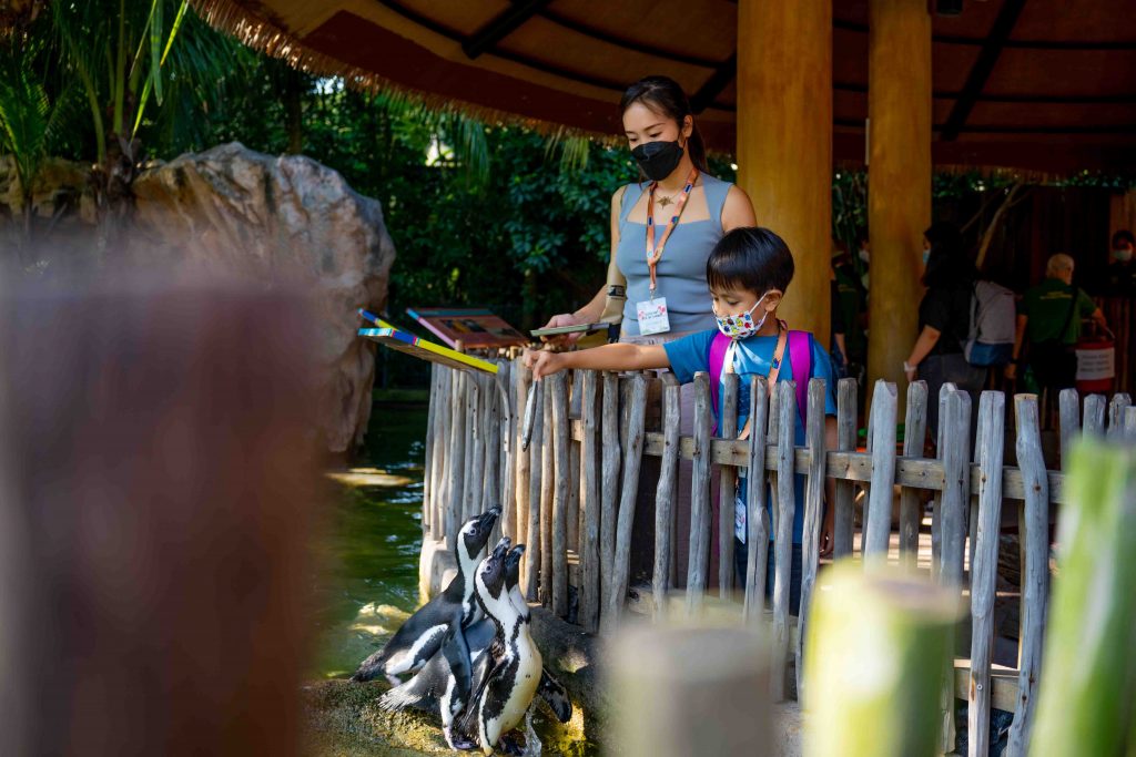 Spend a wild overnight Staycation with flamingos and manatees with Mandai Wildlife Group’s 2022 Staycation Packages - Alvinology