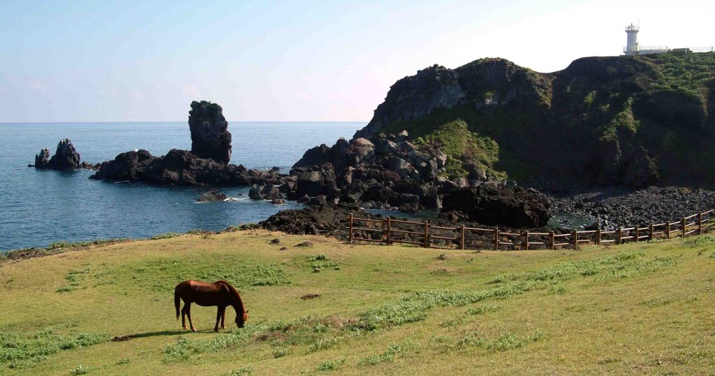 You can now fly directly to Jeju, South Korea’s Hawaii, via Scoot - Alvinology