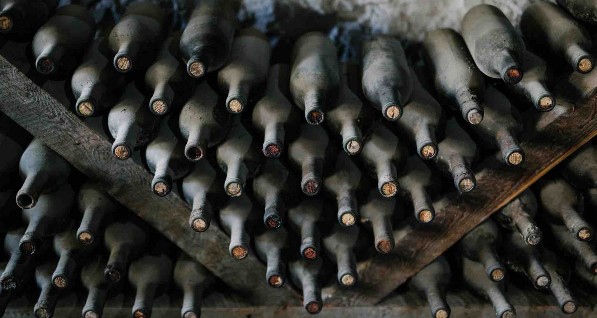 How to Choose a Perfect Wine for your Collection - Alvinology