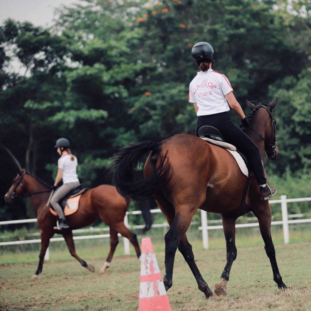 D’Resort to reopen at Downtown East this July offering Early Bird Promo, giving you a leg-up for your activities at the rustic getaway - Alvinology