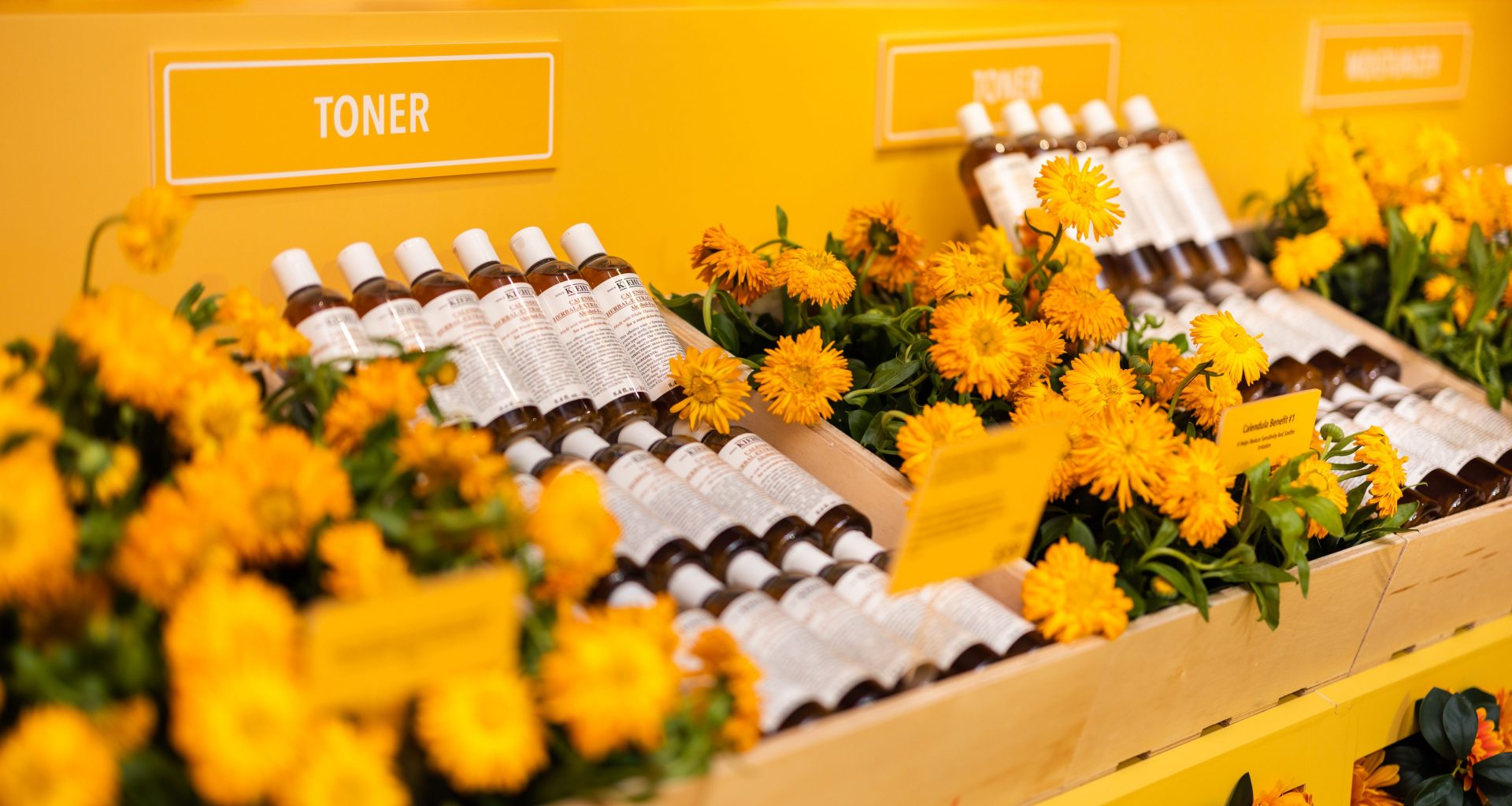 Kiehl’s new Calendula-Mart pop-up installation at Sunday Folks - Alvinology