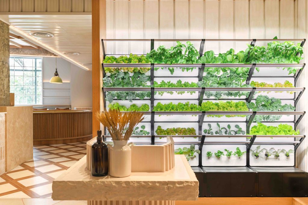 You can now enjoy all-natural and organic produce at Tanglin Mall as Little Farms opens new outlet - Alvinology